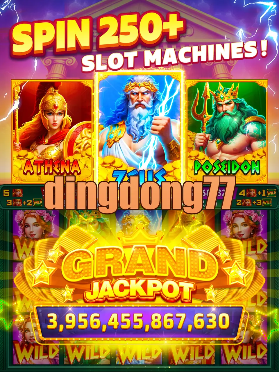 dingdong77 Tangkapan Layar Resmi APK